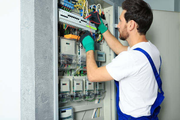 Best Electric Panel Repair  in Chicago Ridge, IL